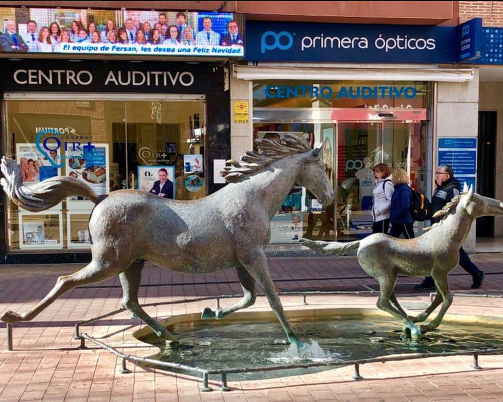 Centro auditivo Centro Auditivo Fersan Torrejon en Torrejón de Ardoz