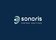 Centro Auditivo Sonoris logo
